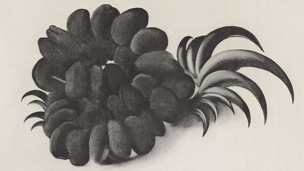 Georgia O'Keeffe, Eagle Claw and Bean Necklace, 1934, from Some Memories of Drawings, 1974. © Georgia O'Keeffe Museum / DACS, London 2021. Photo: Anna Arca.