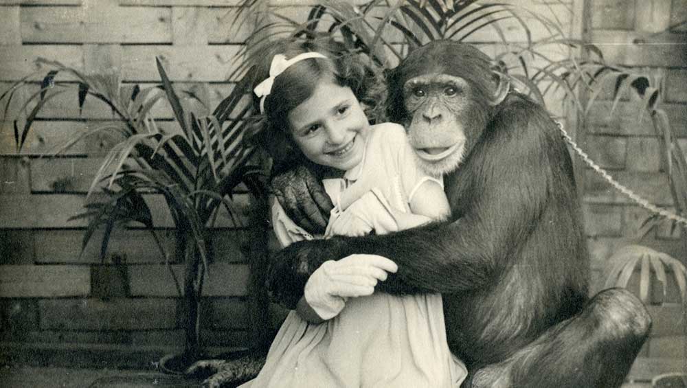 Postcard from the collection of Tom Phillips. Image © Bodleian Libraries, University of Oxford.