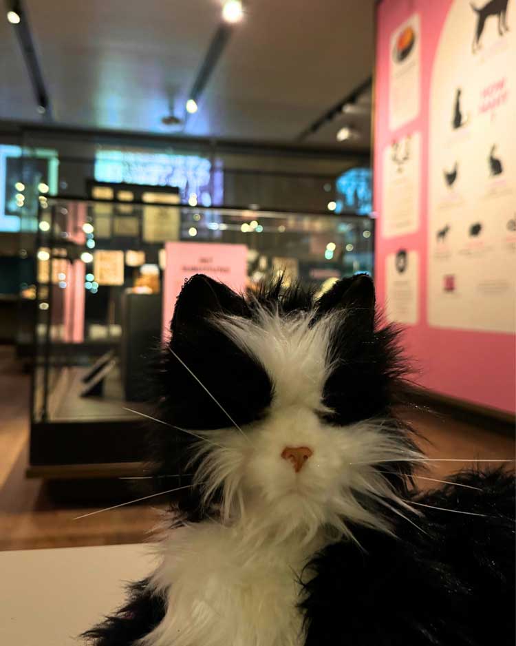 Pets and Their People, installation view, Weston Library, Bodleian Libraries, Oxford, 11 March – 27 September 2026.