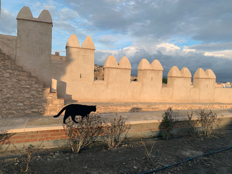 Alcazaba fortress in Almería. Photo: Bronac Ferran.
