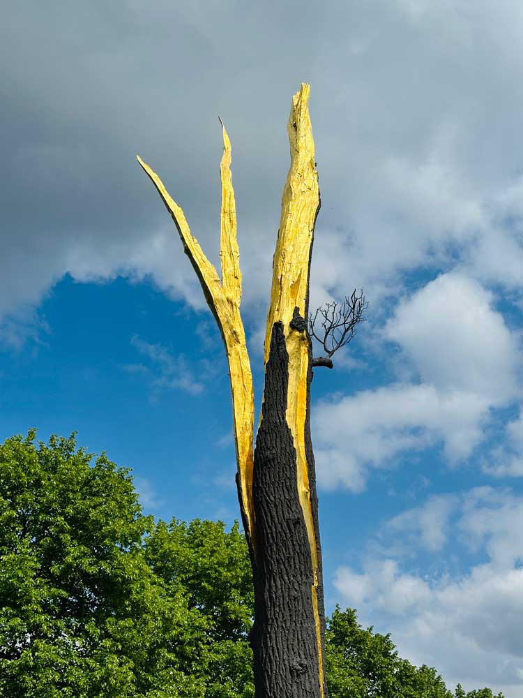 Giuseppe Penone, Albero folgorato (Thunderstruck Tree), 2012. Bronze and gold. Photo: Martin Kennedy.