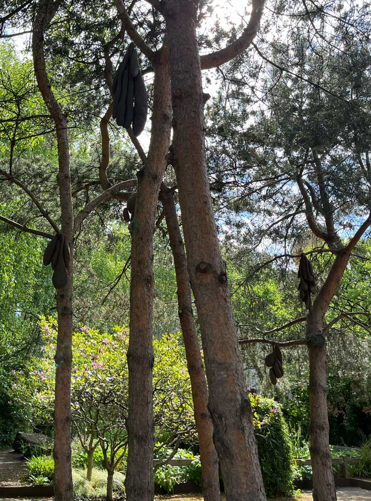 Lesmititas in the Hidden Garden, installation view, Solange Pessoa: Pilgrim Fields, Glasgow Tramway, 10 May – 5 October 2025. Photo: Veronica Simpson.