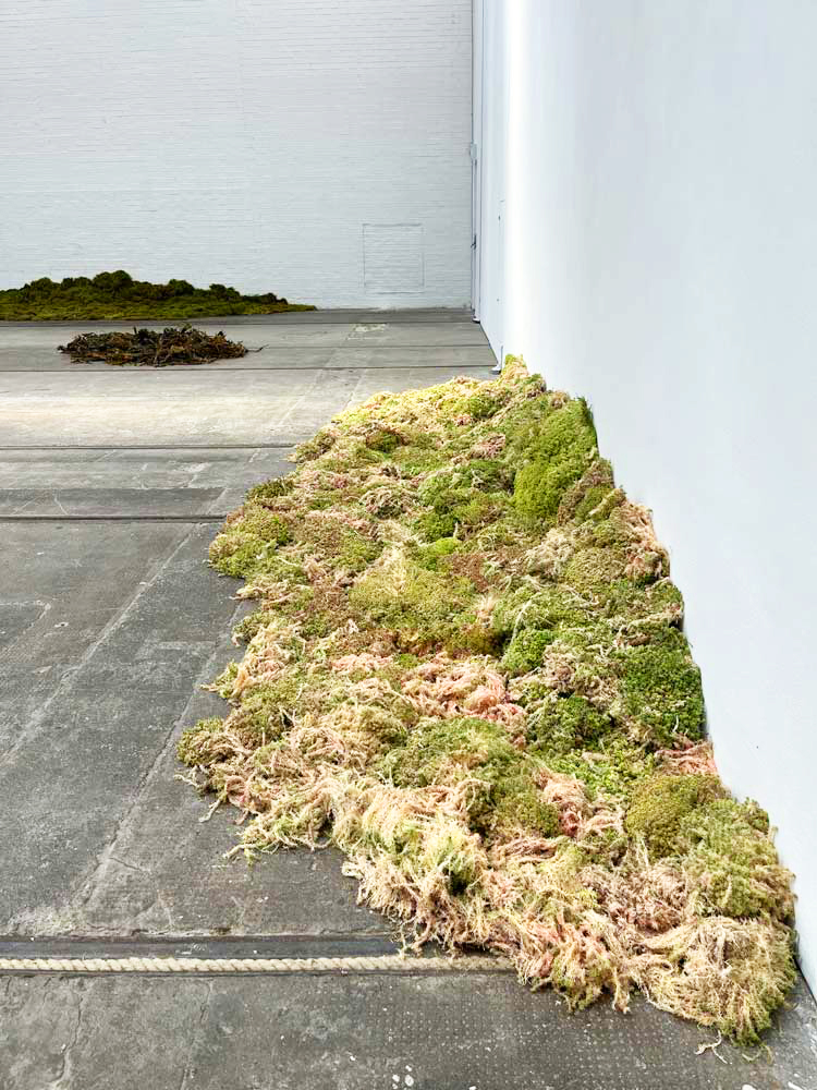 Solange Pessoa: Pilgrim Fields, installation view, Glasgow Tramway, 10 May – 5 October 2025. Photo: Veronica Simpson.
