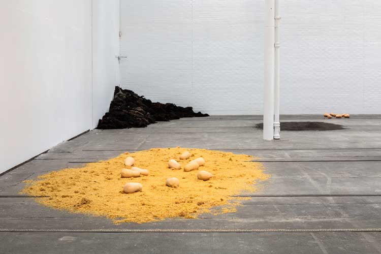 Solange Pessoa: Pilgrim Fields, installation view, Glasgow Tramway, 10 May – 5 October 2025. Photo: Keith Hunter.