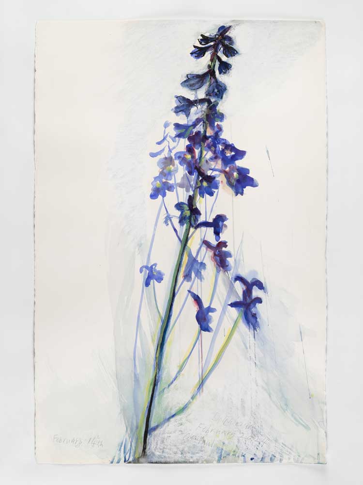 Celia Paul, Delphinium, February 14th, 2024. Watercolour and pastel on paper, 101.6 x 66 cm. © Celia Paul. Courtesy the artist and Victoria Miro.