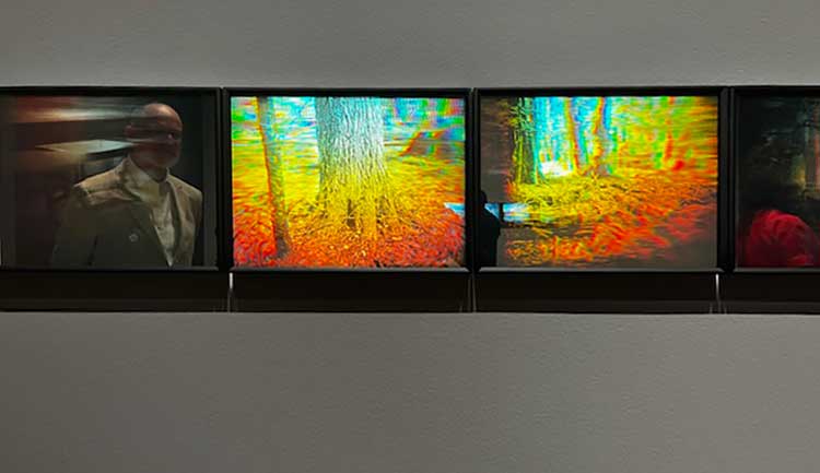 Matthew Schreiber, hologram series. Photo: Jill Spalding.