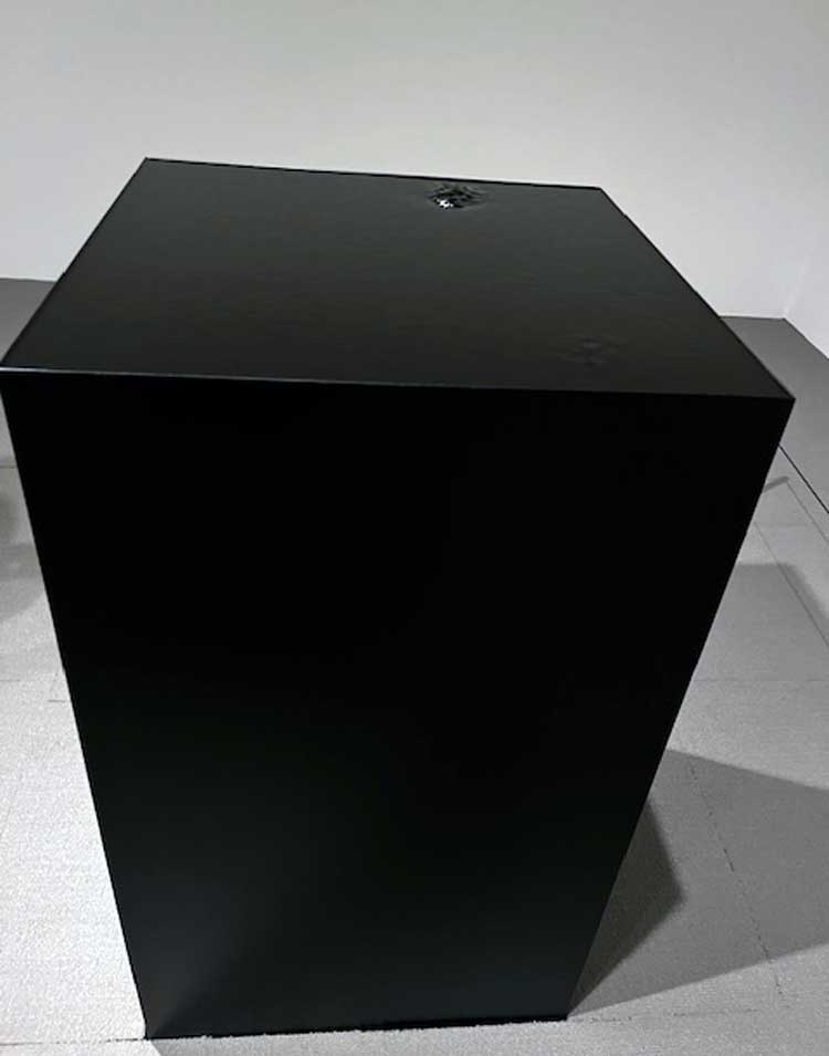 Mika Tajima.  New Humans II, 2022. Photo: Jill Spalding.