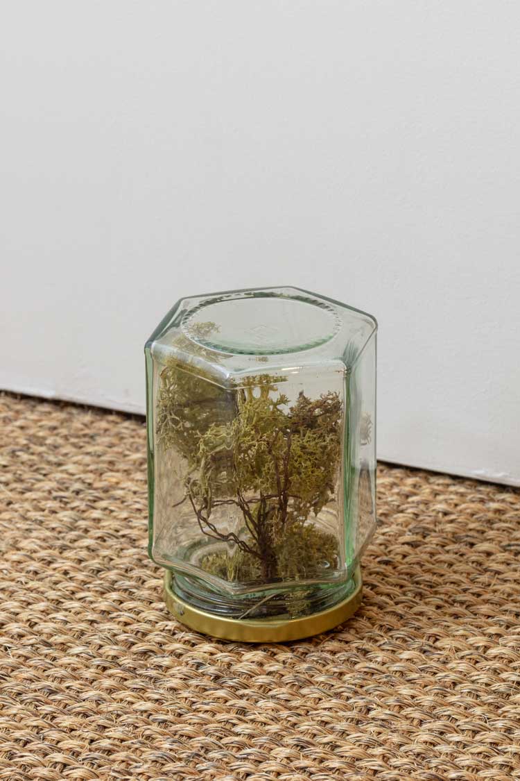 Mark Jones, Stuck in Time Tree, 2022. Glass jar, wire, and moss, 10 x 7 x 7 cm. On loan from the artist. Installation view, Rory Pilgrim, Turner Prize 2023, Towner Eastbourne. Photo: Angus Mill Photography.