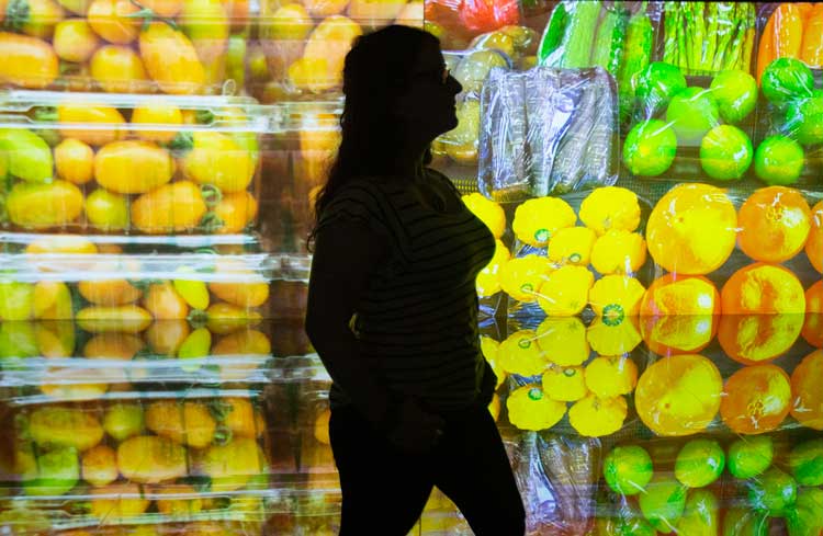KALPA immersive video installation at Plastic: Remaking Our World.