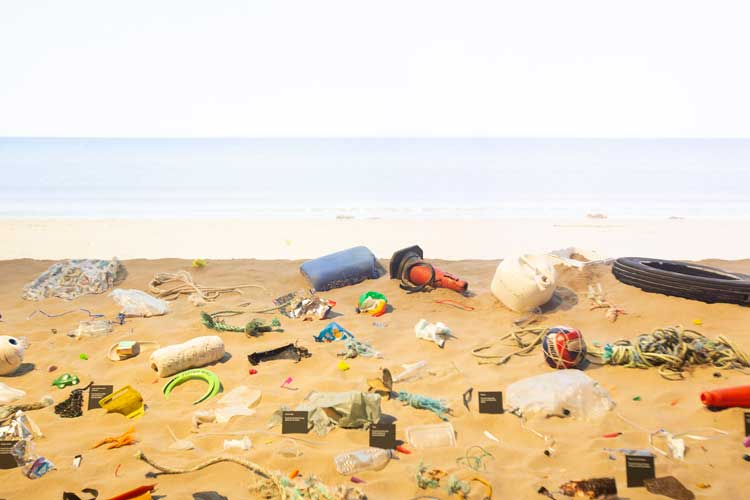 The Beach at Plastic: Remaking Our World.