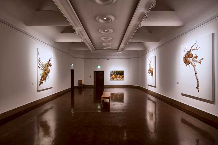 Julian Perry: There Rolls the Deep. Installation view. Photo courtesy Southampton City Art Gallery and Julian Perry.