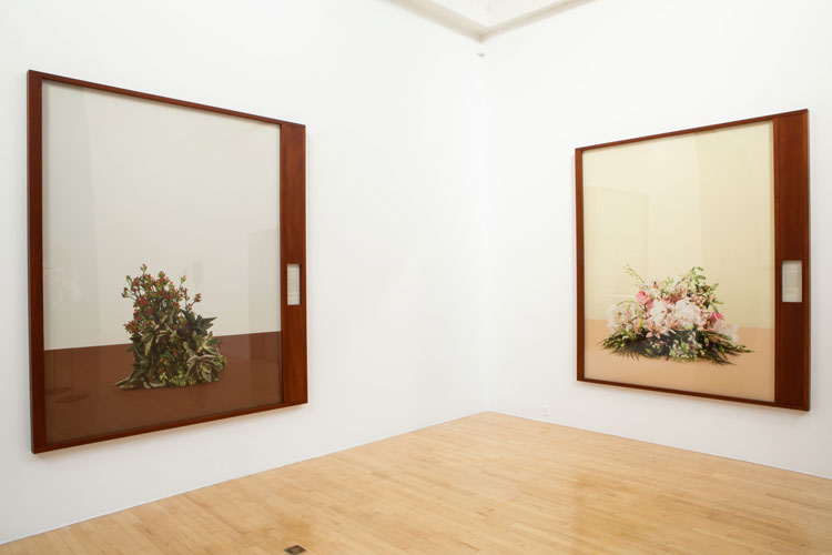 Taryn Simon, Paperwork and the Will of Capital, 2015. Installation view, Pine's Eye, 2020. Image courtesy Talbot Rice Gallery, The University of Edinburgh.