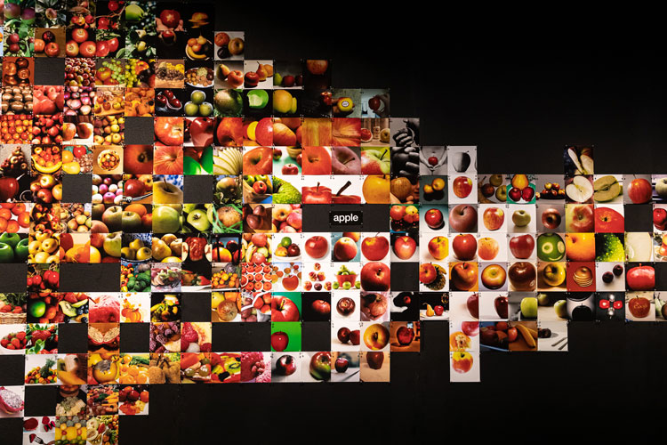 Trevor Paglen: From ‘Apple’ to ‘Anomaly’. Installation view, The Curve, Barbican, London 26 September 2019 – 16 February 2020. © Tim P. Whitby / Getty Images.