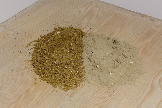 Oscar Santillán’s Cuerpo de Agua (2018), installation view, Power play, 2019, 25 January - 16 March 2019. Photo: Tim Bowditch. Courtesy Delfina Foundation, Korean Cultural Centre UK, and SongEun ArtSpace.