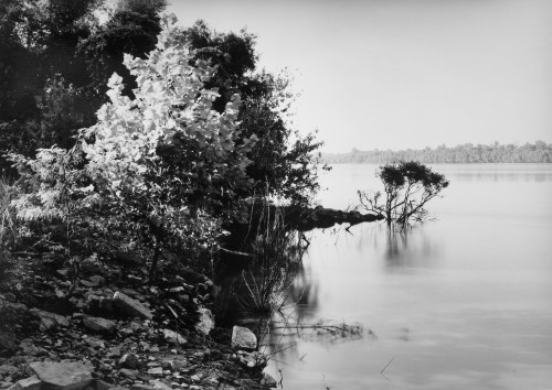 Thomas Joshua Cooper. Looking West towards Exile and the Trail of Tears / The Lower Mississippi River (East Bank). Trail of Tears State Park, near Jackson, Cape Girardeau County, Mississippi, USA, 2010-14. Selenium-toned chlorobromide gelatin silver print, 20 × 24 in (50.8 × 61 cm). Courtesy the artist and Lannan Foundation, Santa Fe, NM.