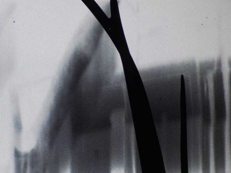 Morgan Quaintance, Seeikokan, 2025. Film still. Courtesy of the artist.
