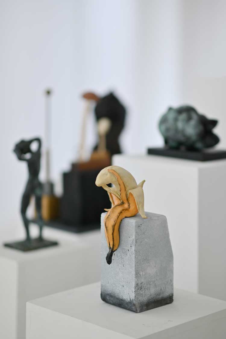 RSA200 Annual Exhibition, 2026, installation view. Photo: Julie Howden.
