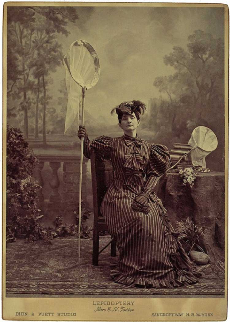 Mark Dion and J.Morgan Puett. Ladies' Field Club of York, Mrs. E.N. Todter, Lepidoptery, 1998. Photograph, gelatin
silver print on paper, 39 x 29.5 cm.