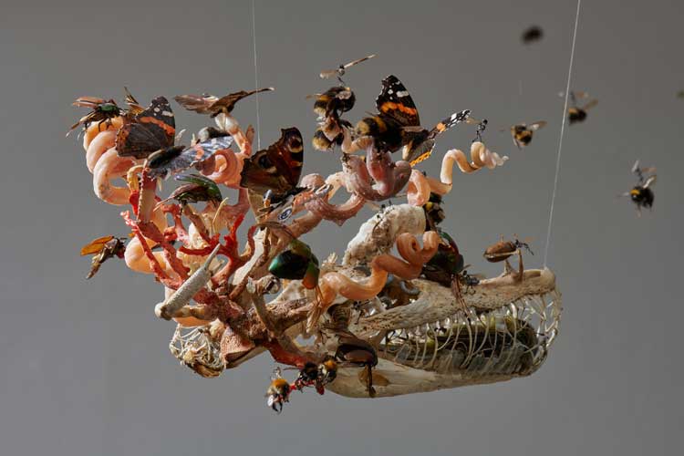 Tessa Farmer. Swarming Fever, 2021. Bones, insects, plant roots, Portuguese Man O'War, polyps, taxidermy birds, worm shells, snakeskin, sea spiders, hedgehog spines, approx. 150 x 300 cm.