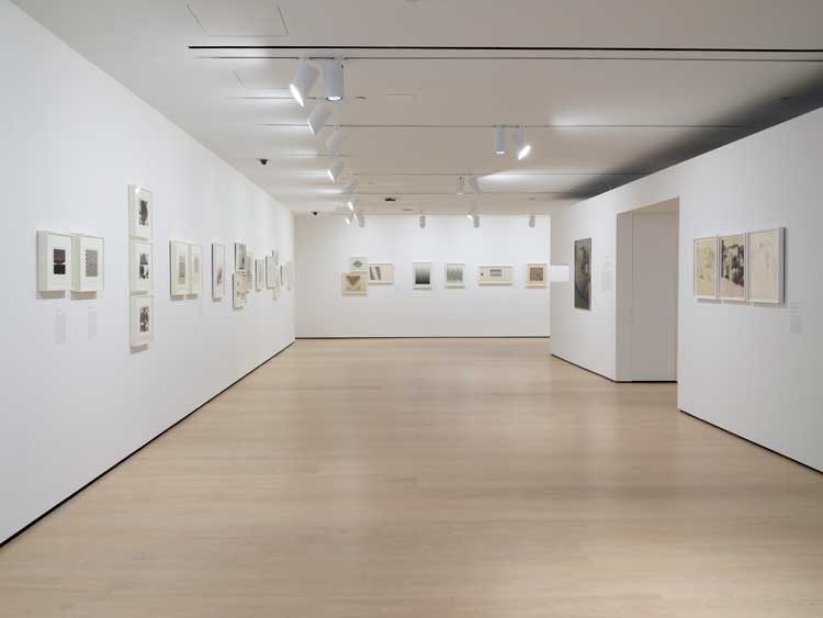 Bridget Riley Drawings: From the Artist’s Studio, installation view, Hammer Museum, Los Angeles, 4 February – 28 May 2023. Photo: Jeff McLane.