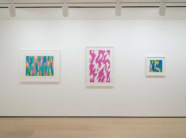 Bridget Riley Drawings: From the Artist’s Studio, installation view, Hammer Museum, Los Angeles, 4 February – 28 May 2023. Photo: Jeff McLane.