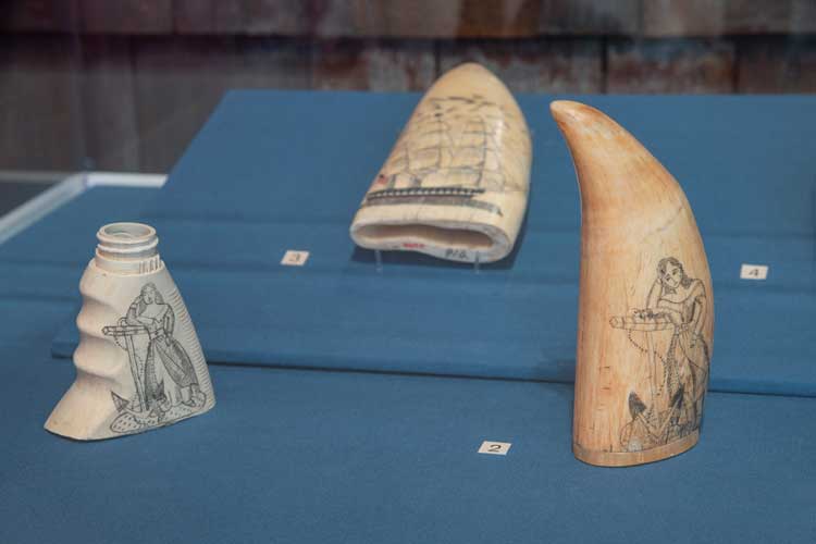 1: Duke Riley. No.355 of the Poly S.Tyrene Memorial Maritime Museum, 2022. Painted salvage plastic, ink and wax. Courtesy of Duke Riley. 2: Unknown Maker, Scrimshaw Whale’s Tooth, circa 1830, Brooklyn Museum, Brooklyn Museum Collection. 3: Unknown Maker, Scrimshaw Whale's Tooth, circa 1830-60, Brooklyn Museum, Brooklyn Museum Collection. Photo: Marie Pohl.