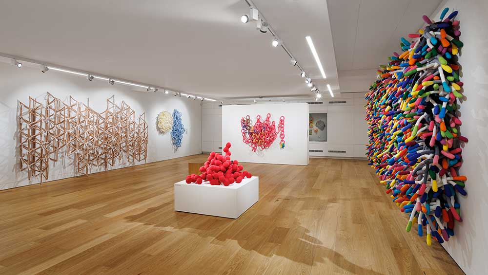 Anna Ray: Fibre and Form, installation view, St Albans Museum + Gallery, Weston Gallery. Photo: Rob Harris.