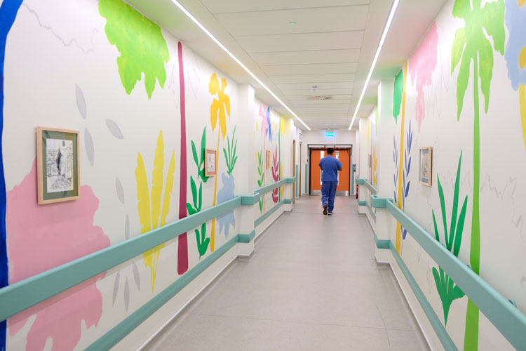 Cara Nahaul, Canopy and medicinal flora, 2020. Paint, vinyl, and framed charcoal drawings. Custom House Ward, Newham Hospital. Photo: Vital Arts.