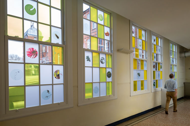 Lilah Fowler, Lantern Forest, 2019. Vinyl. Whipps Cross Hospital. Photo: Ollie Harrop.