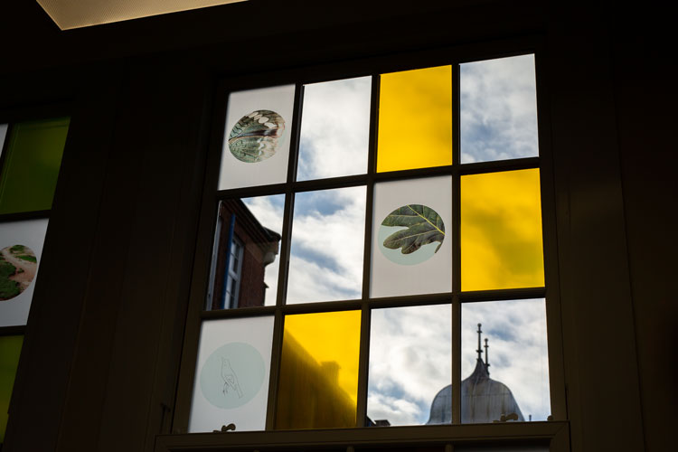 Lilah Fowler, Lantern Forest, 2019. Vinyl. Whipps Cross Hospital. Photo: Ollie Harrop.