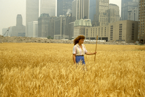 Agnes Denes. Wheatfield – A Confrontation, 1982. Two acres of wheat planted and harvested in Battery Park landfill, downtown Manhattan. Commissioned by Public Art Fund, New York City.
Photograph: © Agnes Denes.
Courtesy the artist.