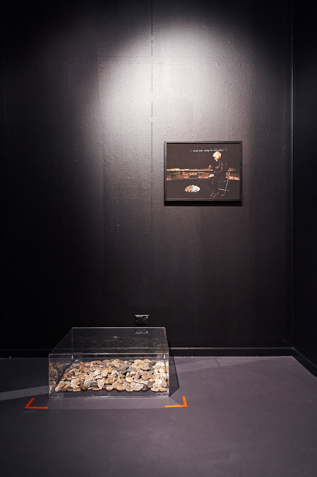 Hedy Ritterman. Touching Stones, 2016 and Henry’s Mother, 2015, presented at the Jewish Museum of Australia 2016-2017.