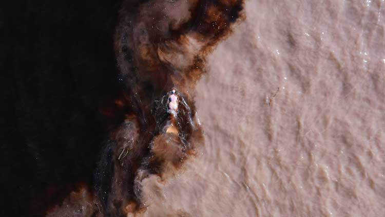 Emilija Škarnulytė, still from Æqualia 2023. Courtesy of the artist.