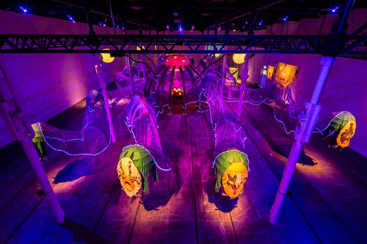Rae-Yen Song 宋瑞渊, •~TUA~• 大眼 •~MAK~•, installation view, Tramway, Glasgow, 15 November 2025 – 16 August 2026. Photo: Keith Hunter.