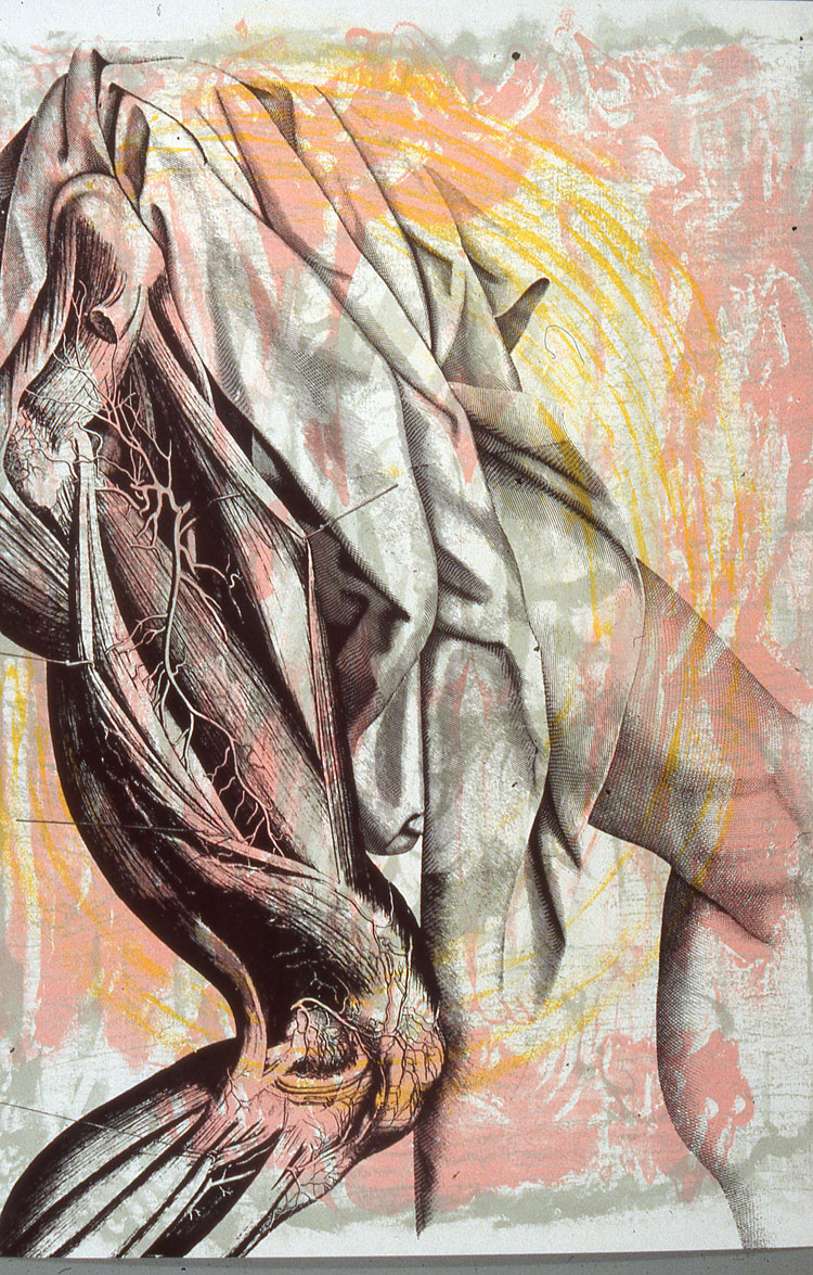 Elaine Shemilt, Momento Mori, 1996. Screenprint, 165 x 130 cm. Image courtesy and copyright the artist.