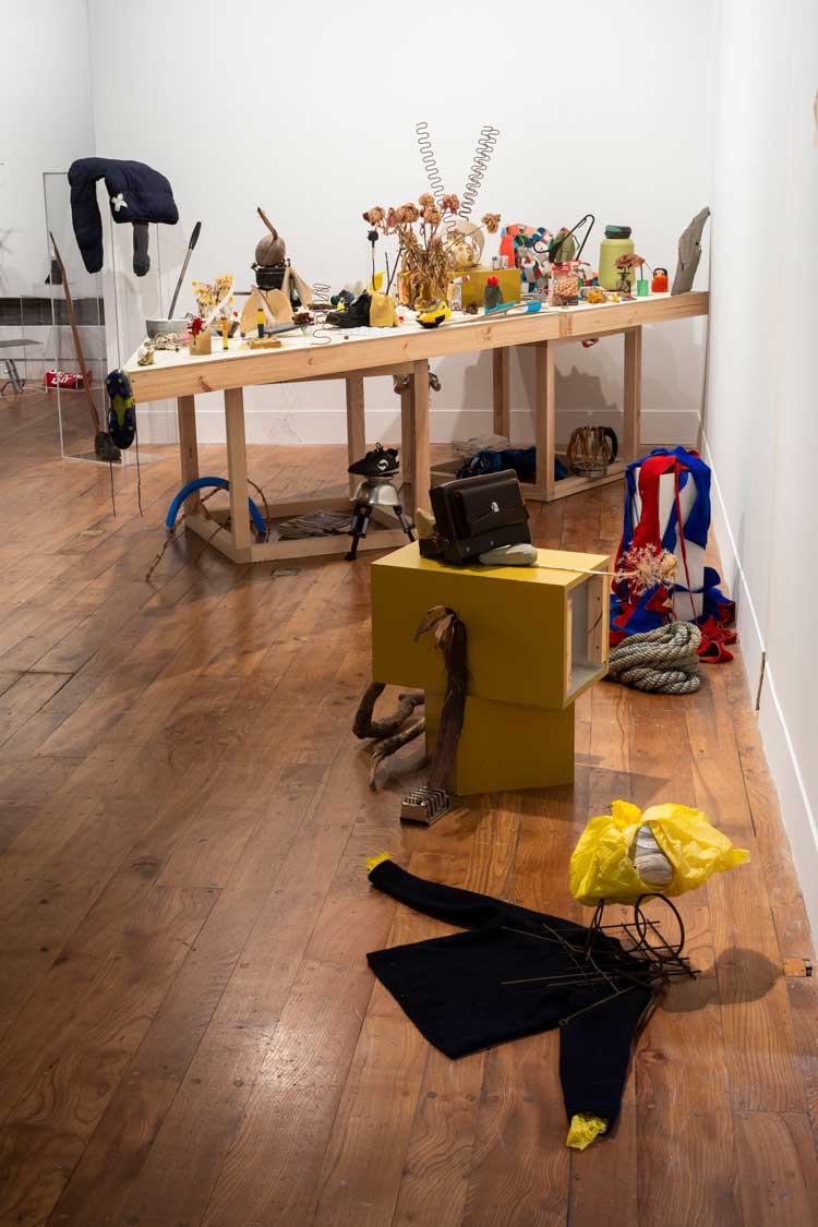 Assembly, Margaret Salmon, The Hunterian, 2025. Photo: Ruth Clark.