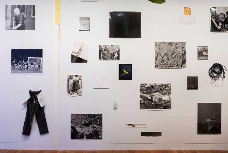 Assembly, Margaret Salmon, The Hunterian, 2025. Photo: Ruth Clark.