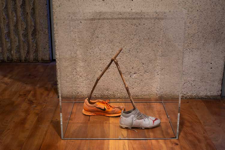 Assembly, Margaret Salmon, The Hunterian, 2025. Photo: Ruth Clark.