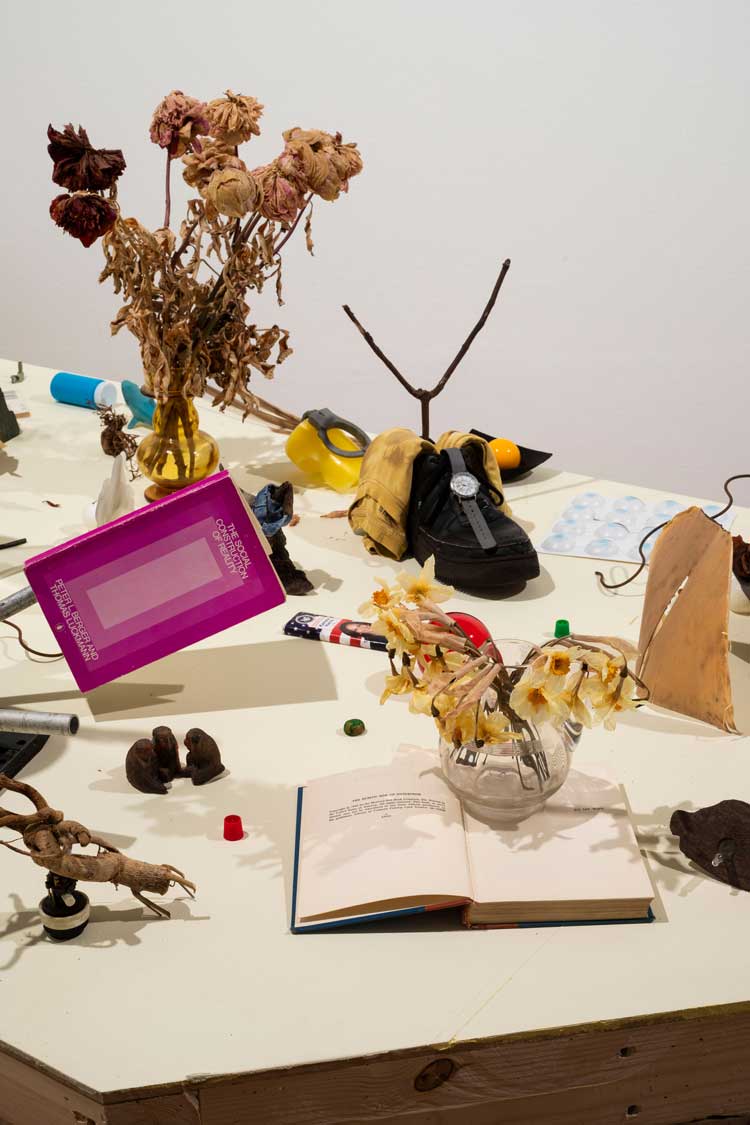 Assembly, Margaret Salmon, The Hunterian, 2025. Image courtesy of the artist.