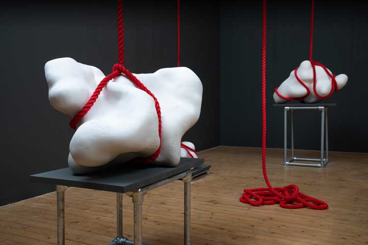 Mella Shaw. Sounding Line, installation view, Summerhall, Edinburgh,2024. Photo © Olive and Maeve.