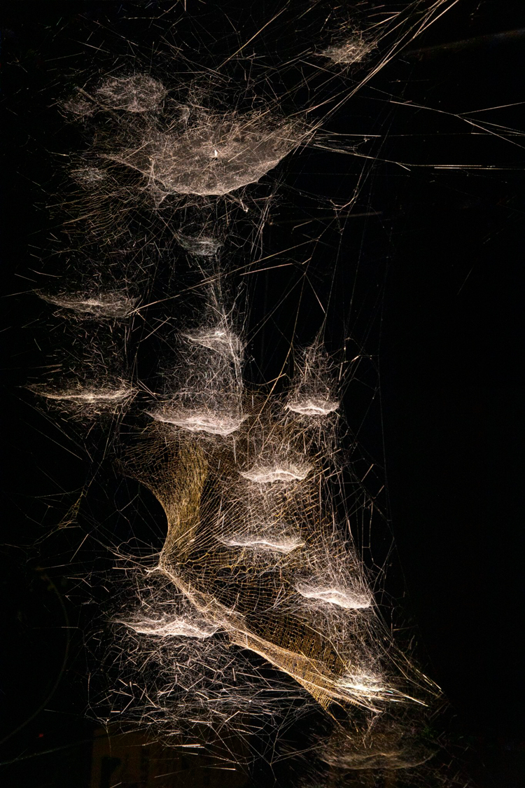 Web.Life 202.3 (detail). Courtesy the spider/webs. Photo: Studio Tomás Saraceno.