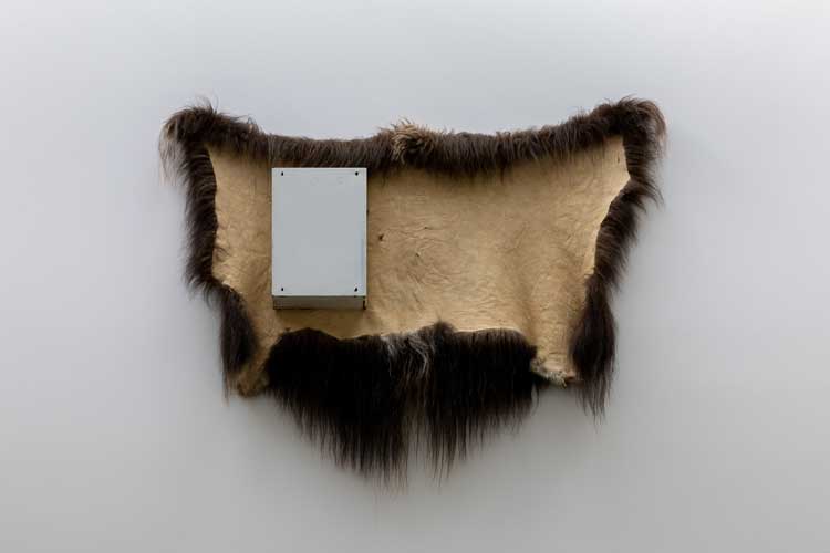 Michael E Smith, Untitled, 2023. First aid cabinet, hide. Installation view, Henry Moore Institute, Leeds.