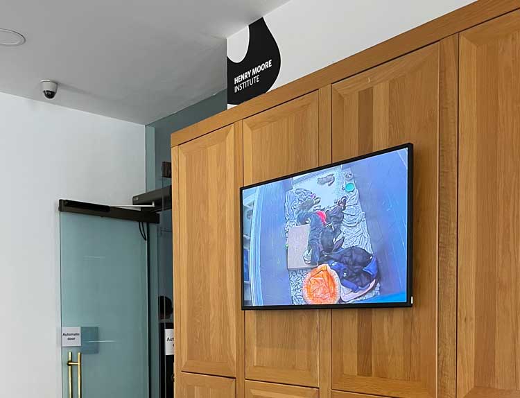Michael E Smith, Untitled, 2023. Video, 2:07. Installation view, Henry Moore Institute, Leeds. Photo: Veronica Simpson.