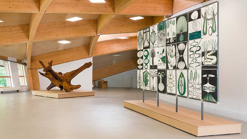 Ai Weiwei, Fly, 2019. Iron, cast from giant tree root sourced in Brazil. Image courtesy Eden Project.