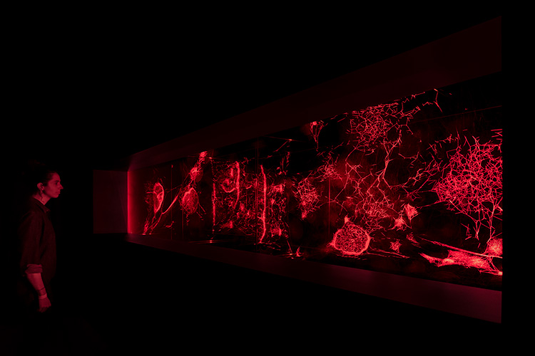 Image 8: Tomás Saraceno, How to entangle the universe in a spider/web?, 2020. Laser, spider silk, carbon fiber. Window: approx. 14 x 2.5 feet; three webs: approx. 167.5 cm 47.8 x 41.3 x 70 inches, 160 cm 39.3 x 39.3 x 63 inches, 31.9 x 27.5 x 45.3 inches. Artwork © Studio Tomás Saraceno. Photo: Nicholas Knight. Courtesy the artist and Aerocene Foundation; Andersen’s, Copenhagen; Ruth Benzacar, Buenos Aires; Tanya Bonakdar Gallery, New York/Los Angeles; Pinksummer Contemporary Art, Genoa; and Neugerriemschneider, Berlin. Photo courtesy The Shed.