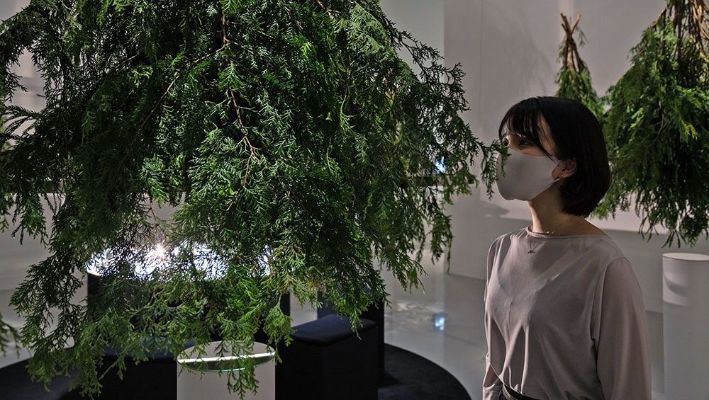 Ayako Suwa serving ‘delicacies of reminiscence’ for the ritual before the closure of the gallery due to the Covid-19 pandemic. © the artist.