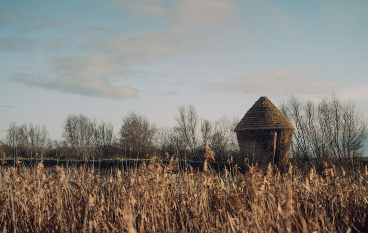 Studio Morison. MOTHER..., 2020. Commissioned by Wysing Arts Centre, and supported by Arts Council England and the National Trust. Photo: Charles Emerson, 2020.