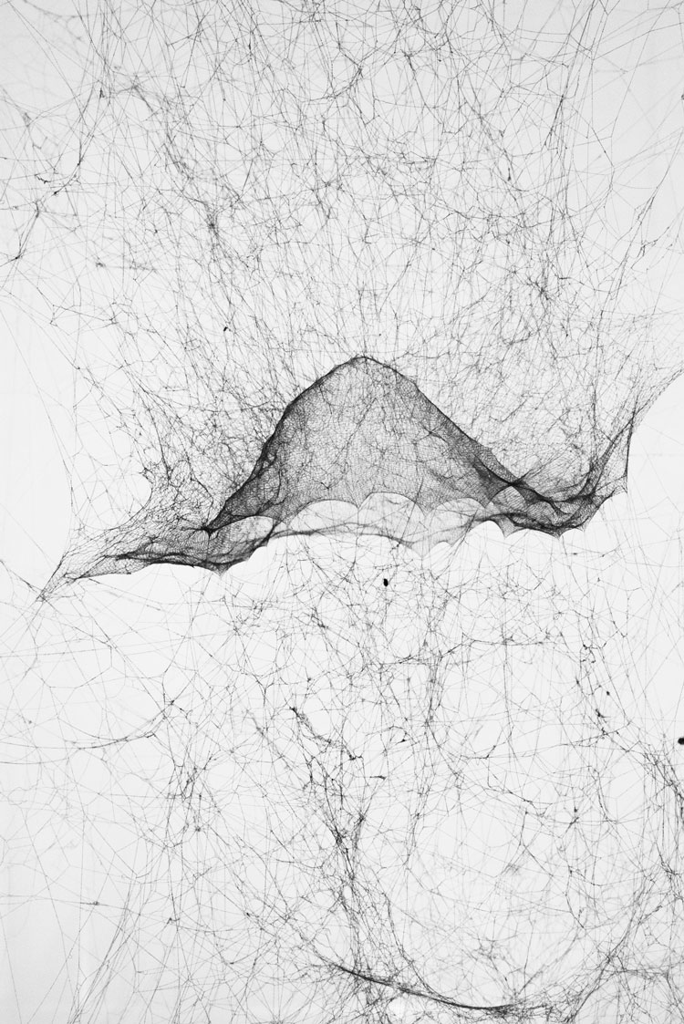 Tomás Saraceno. Hybrid semi-social instrument Almagest Sinope 758.89 built by: a duo of Cyrtophora moluccensis - five weeks (detail), 2016. Courtesy of the artist and Esther Schipper, Berlin.
© Photo: Studio Tomás Saraceno, 2016.