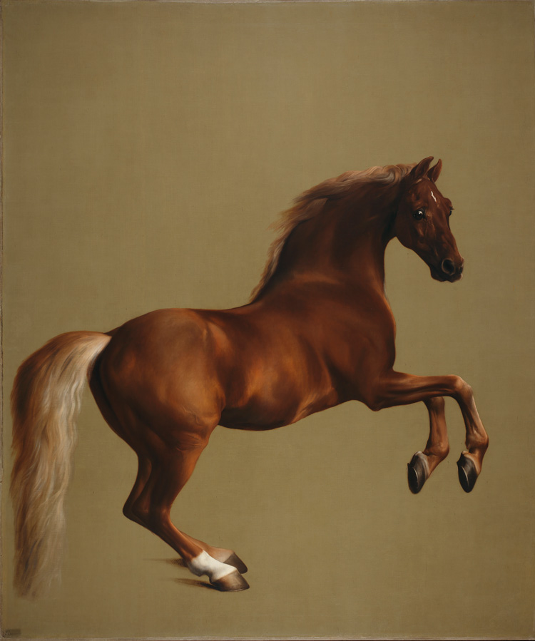George Stubbs, Whistlejacket, c1762. Oil on canvas. © The National Gallery, London.