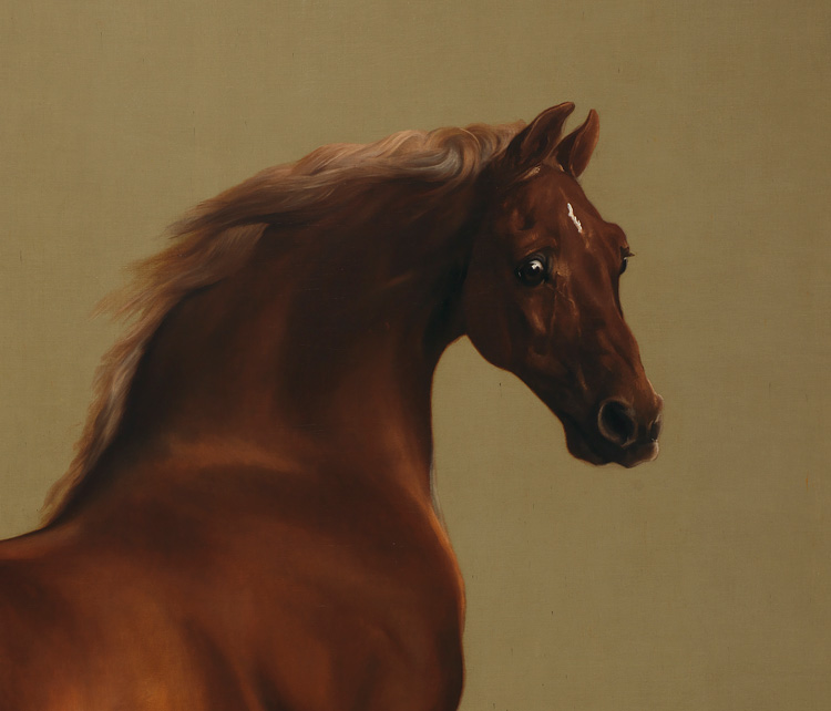 George Stubbs, Whistlejacket, c1762. Oil on canvas. © The National Gallery, London.